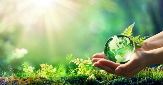 Top 5 Environmental Benefits of DVC Dry Vapor Cleaning Over Traditional Chemical Methods